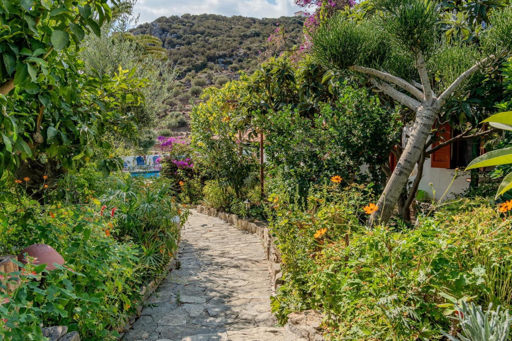 Athina Villas Istron Dış mekan fotoğraf