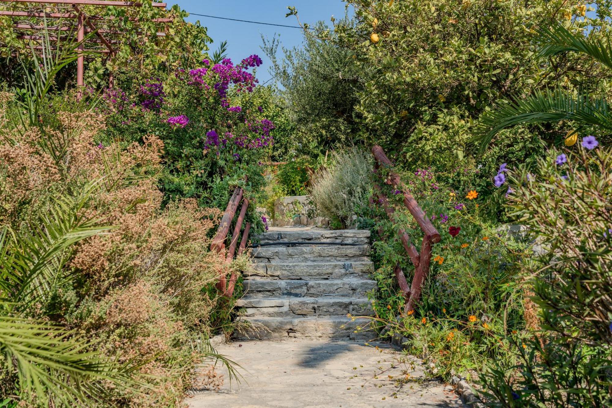 Athina Villas Istron Dış mekan fotoğraf