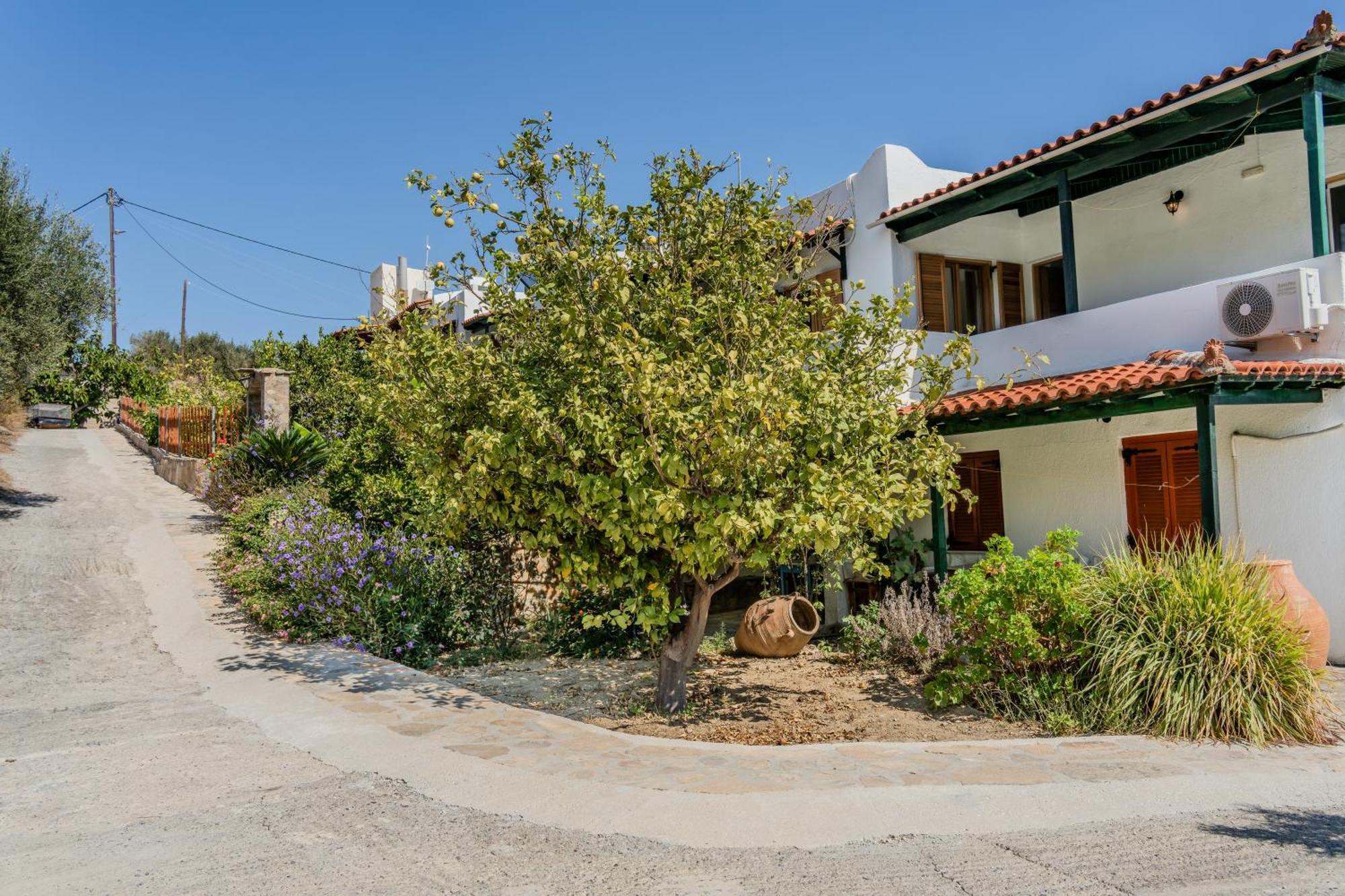 Athina Villas Istron Dış mekan fotoğraf