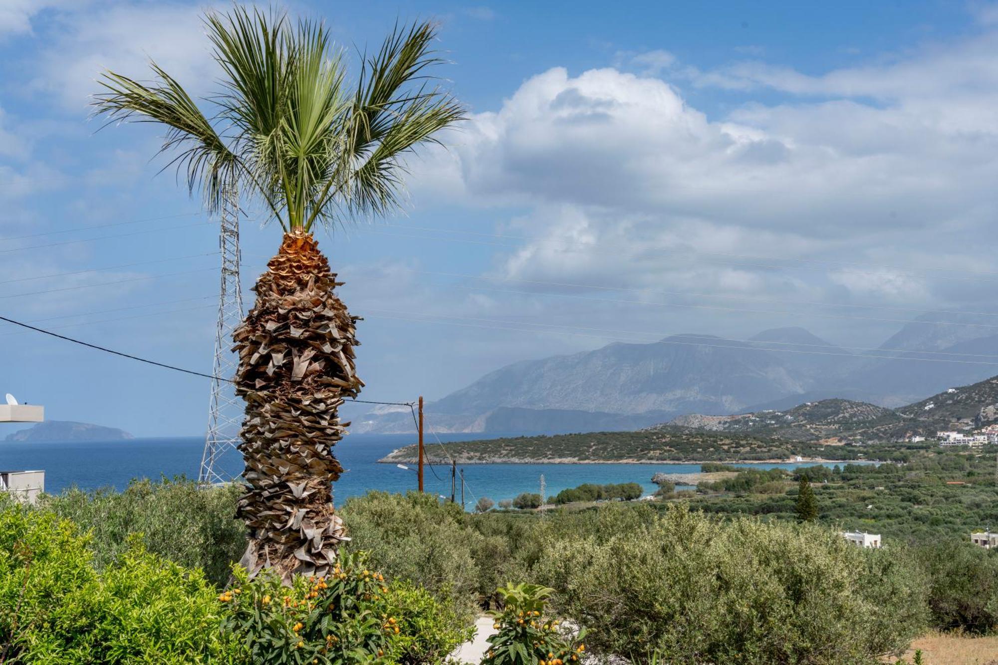 Athina Villas Istron Dış mekan fotoğraf