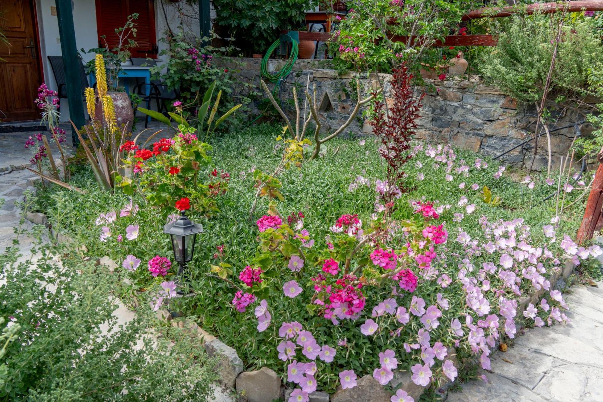 Athina Villas Istron Dış mekan fotoğraf